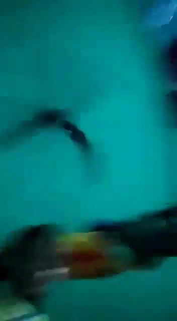 GF Tease on VC show nude