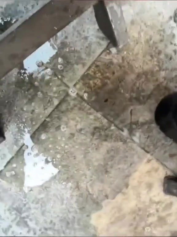 alana15-stripchat-ticket-show