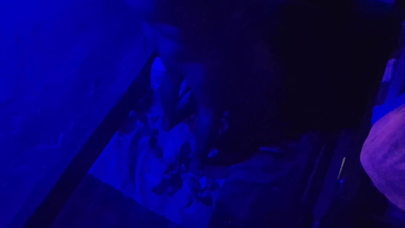 Night Stand BDSM Bhabhi Sex Porn Videos Gandi Gali Talk