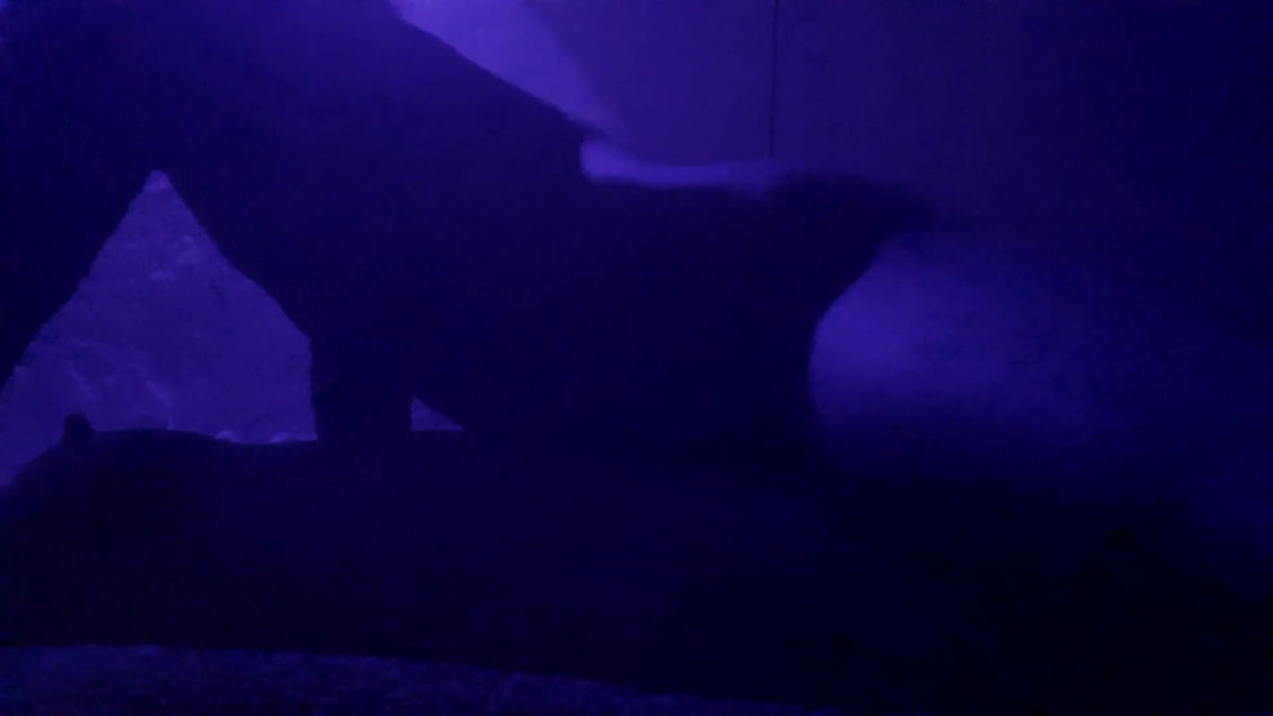 Night Stand with My Old Girlfriend Vergin Neha Sex Porn Videos