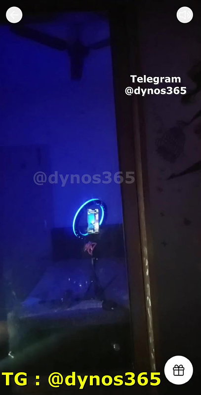 Ellie Tango Show