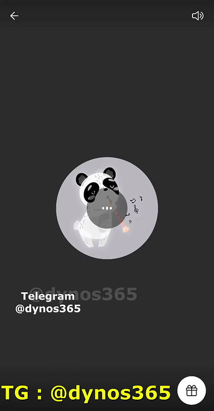 Tango – 121 1 Tango Show