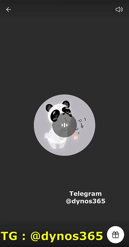 Tango – 121 1 Tango Show