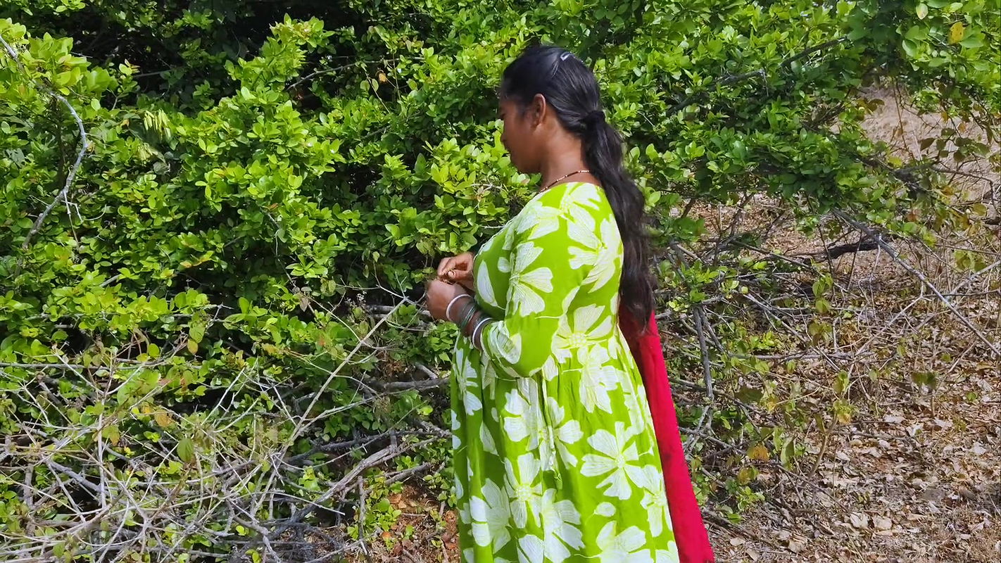 Desi Village Story – Bhabhi Used to Pluck Karvand Fruits From the Forest and Sell Them in the City – Hindi Audio XXX Movies.
