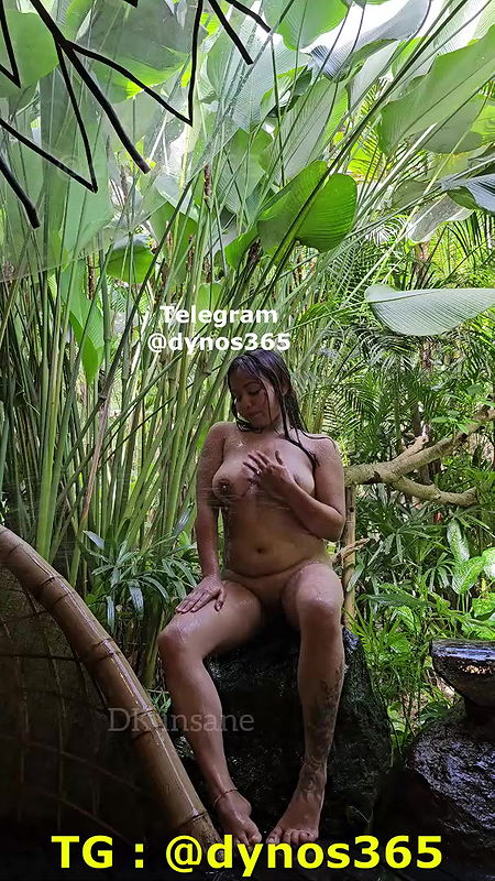 DK INSANE – UPDATE