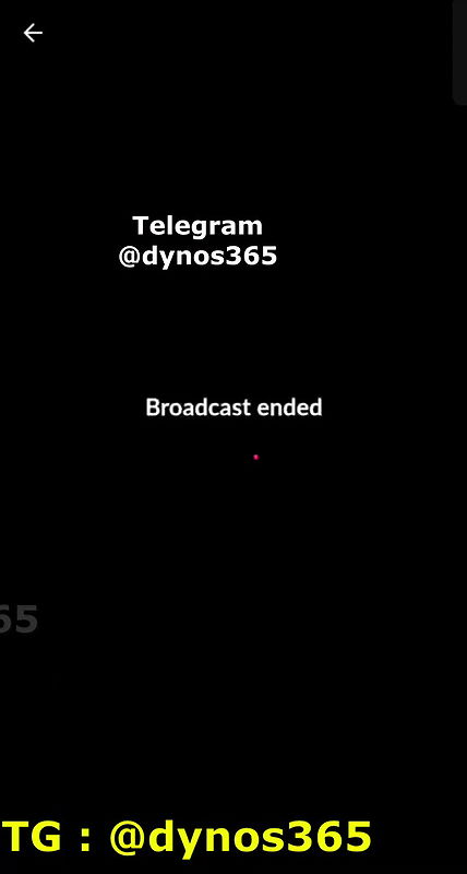 Pleasant Penguin Tango Show