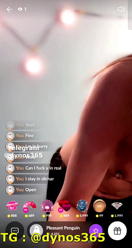 Pleasant Penguin Tango Show