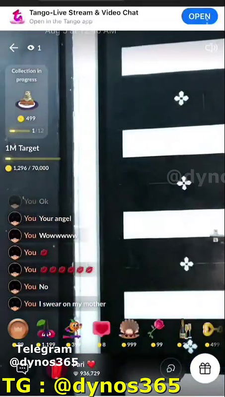 PARI – 121 Tango Show