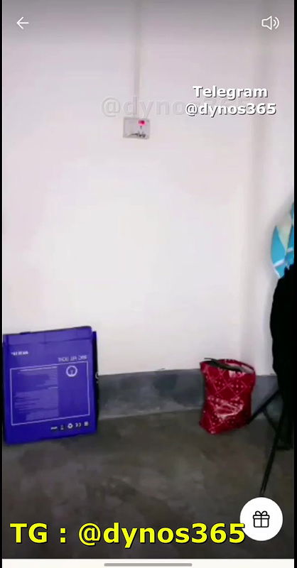 Shiny 121 Tango Show