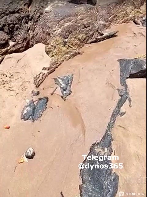 34lakshani1-stripchat-ticket-show