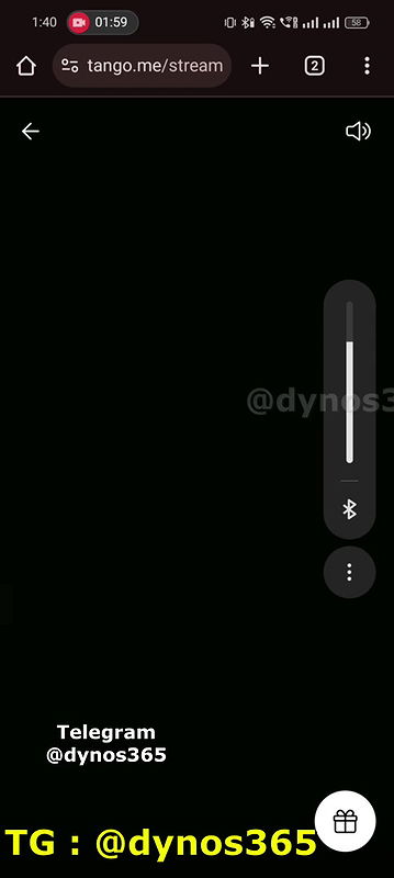 BAD ALINA 3 Tango show