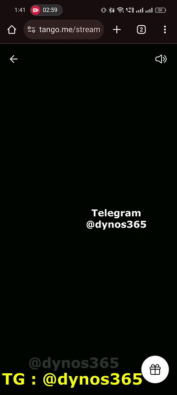 BAD ALINA 3 Tango show