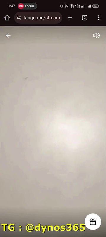 BAD ALINA 3 Tango show