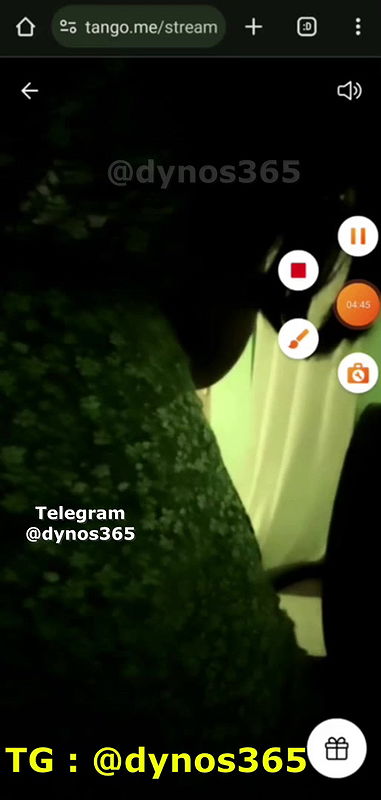 DIYA – EXCLUSIVE SHOW Tango show