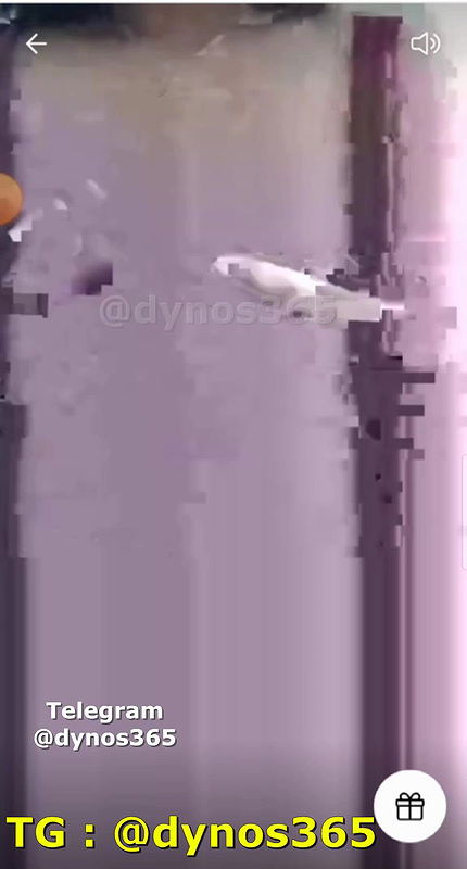 Chocolaty Tango show