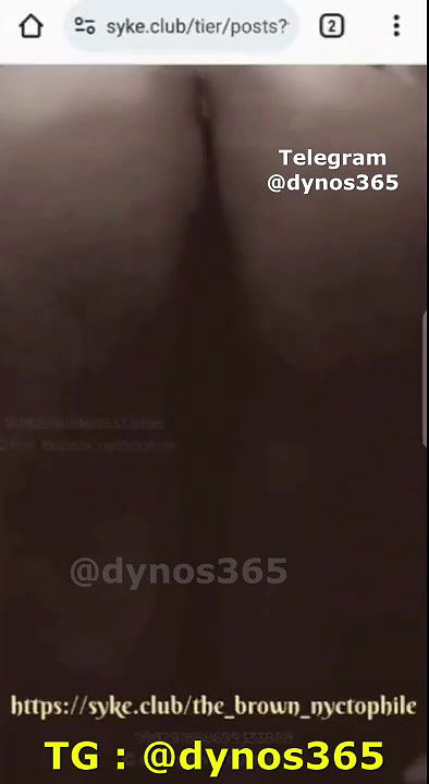 IPSITA HAJRA  the_brown_nyctophile 8 App video