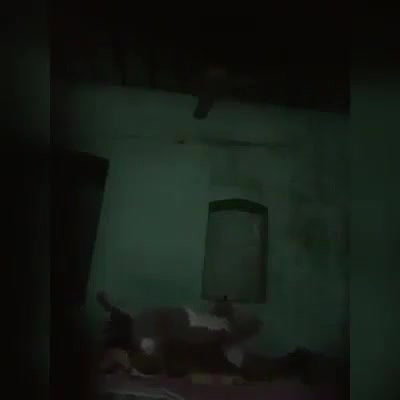 Desi village bahbi fucking with father in lw