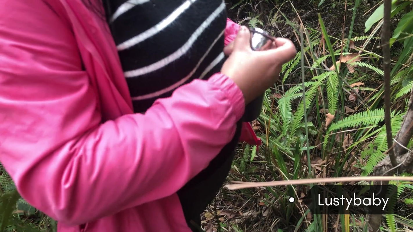 Nepali Forest Adventures 2.6