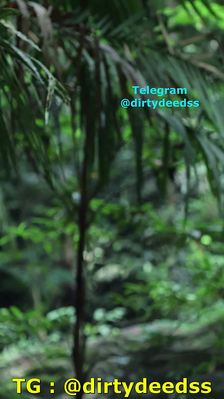 ASHWITA – ONLYFANS – PPV