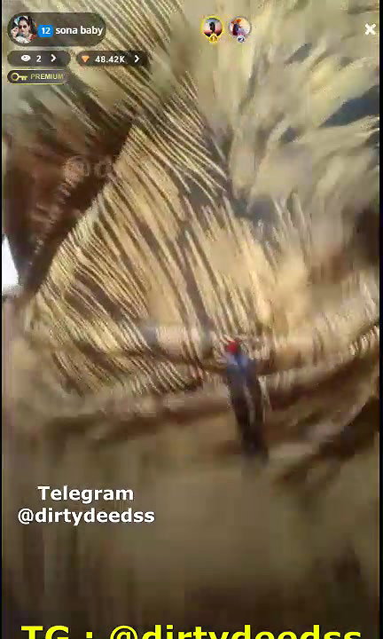 SONA BABY Tango Show