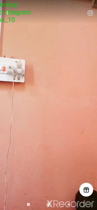 Lemon girl 2 Tango Show