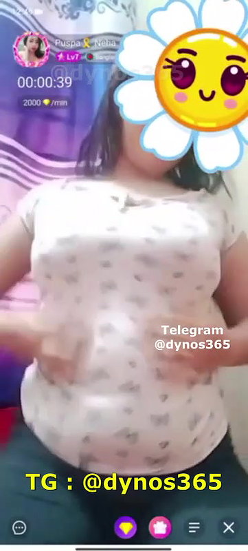 pupa neha chamet