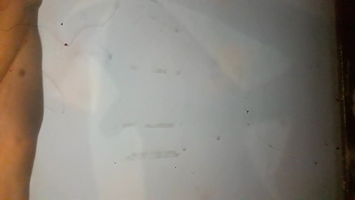 Sri Lankan Stepmom Sped Her Ass Hole