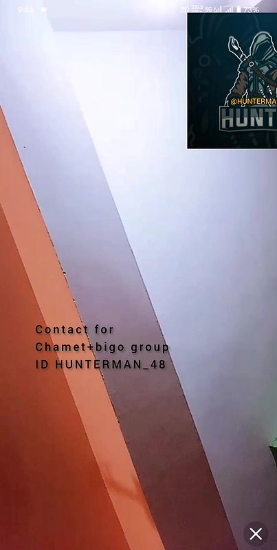 New chamet video 338