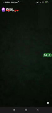 New chamet video 462