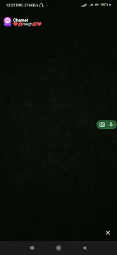 New chamet video 462