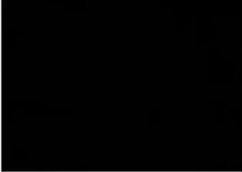 indian showing ass and pussy