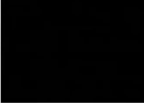 indian showing ass and pussy