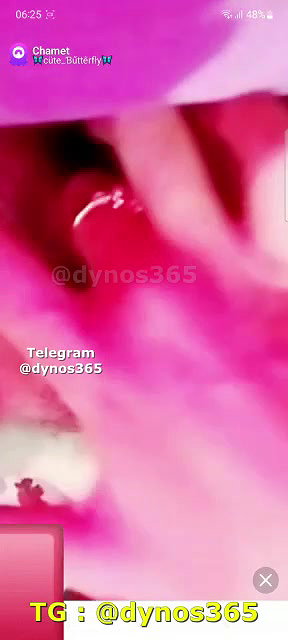 New chamet collection 2026  108