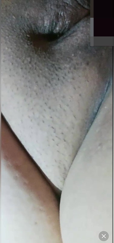 New chamet collection 2026  133