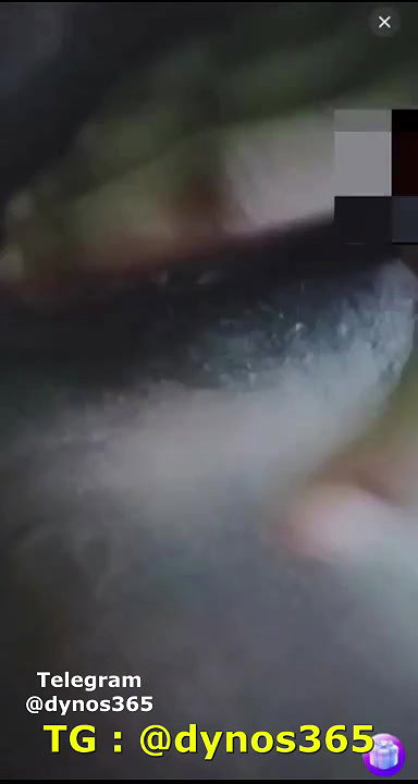 New chamet collection 2026  140