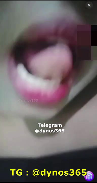 New chamet collection 2026  140