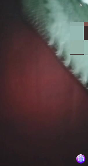 New chamet collection 2026  212