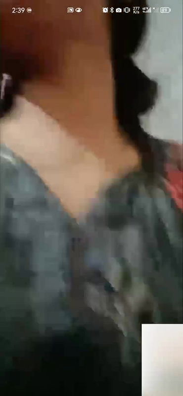 New chamet collection 2026  250