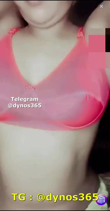 New chamet collection 2026  256