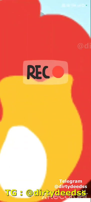 New chamet collection 2026  306