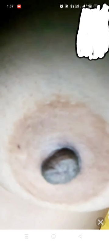 New chamet collection 2026  321