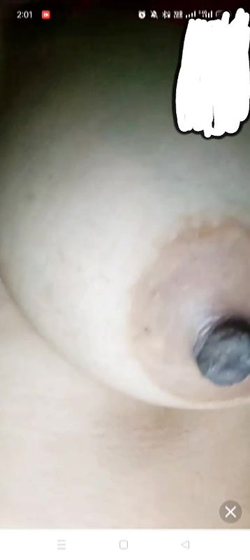 New chamet collection 2026  321