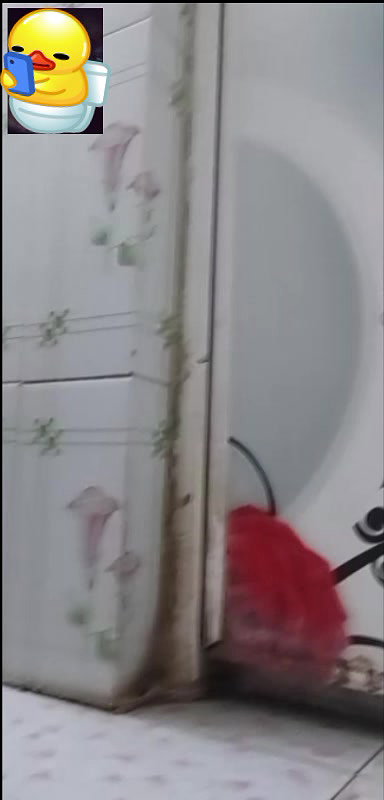 New chamet collection 2026  417