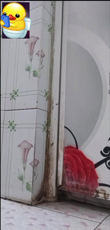 New chamet collection 2026  417