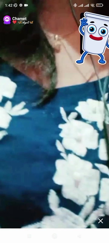 New chamet collection 2026  419