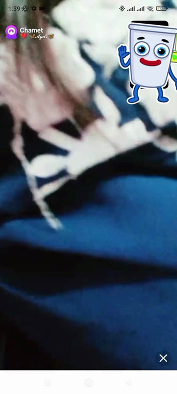 New chamet collection 2026  419