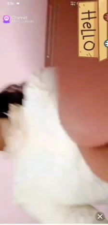 New chamet collection 2026  424