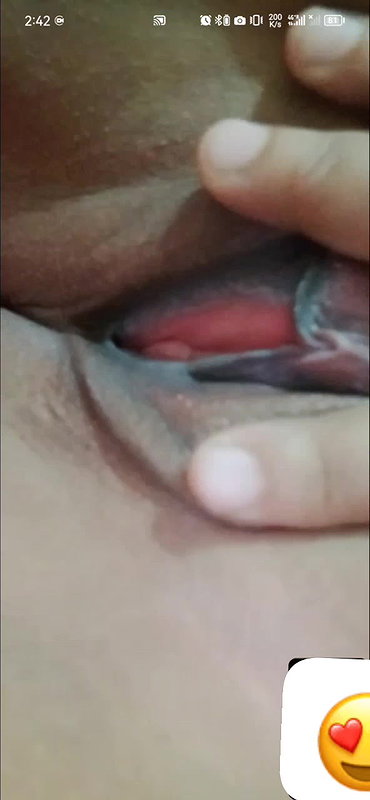 New chamet collection 2026  464