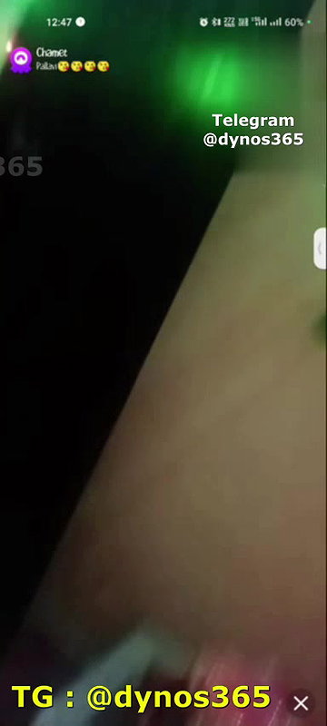 New chamet collection 2026  474