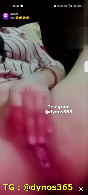 New chamet collection 2026  474